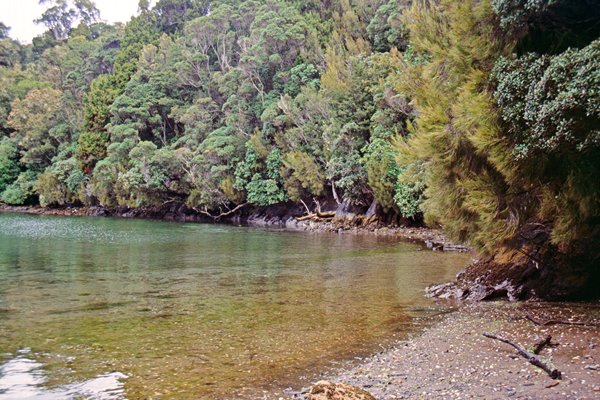 Stewart Island.