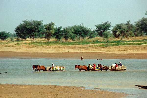 Paardenwagens door de Bani rivier.